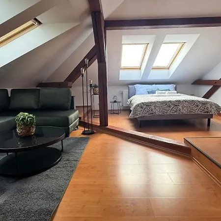 Apartamento Kollarova Ostrava