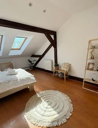 Kollarova Apartamento *