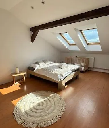 Kollarova Appartement *